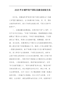 2025年乡镇年轻干部队伍建设经验交流