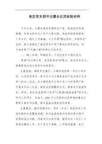 县区党支部书记擂台比武经验材料