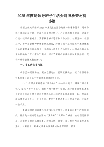 2025年度局领导班子生活会对照检查材料多篇