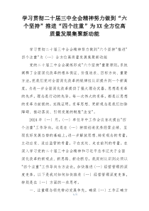 学习贯彻二十届三中全会精神努力做到“六个坚持”推进“四个注重”为XX全方位高质量发展集聚新动能