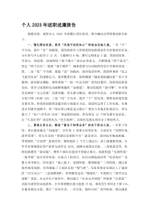 个人2025年述职述廉报告