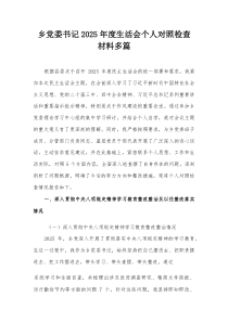 乡党委书记2025年度生活会个人对照检查材料多篇