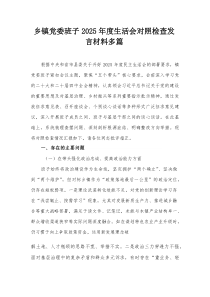 乡镇党委班子2025年度生活会对照检查发言材料多篇