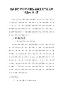 党委书记2025年抓新兴领域党建工作述职报告材料2篇