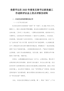 党委书记在2025年度党支部书记抓党建工作述职评议会上的点评报告材料