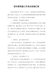 团市委党建工作亮点经验汇报