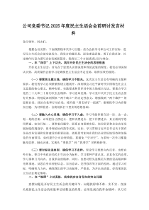 公司党委书记2025年度民主生活会会前研讨发言材料