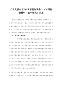 公司党委书记2025年度生活会个人对照检查材料（五个带头）多篇