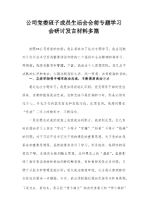 公司党委班子成员生活会会前专题学习会研讨发言材料多篇
