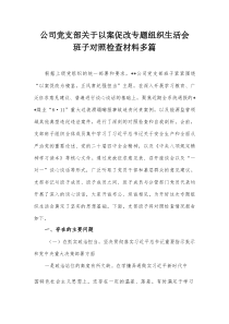 公司党支部关于以案促改专题组织生活会班子对照检查材料多篇