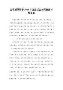 公司领导班子2025年度生活会对照检查材料多篇