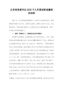 公安局党委书记2025个人年度述职述廉报告材料