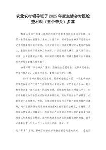 农业农村领导班子2025年度生活会对照检查材料（五个带头）多篇