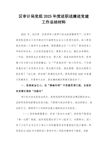 区审计局党组2025年度述职述廉述党建工作总结材料