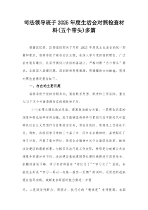 司法领导班子2025年度生活会对照检查材料(五个带头)多篇