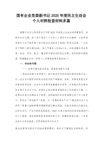 国有企业党委副书记2025年度民主生活会个人对照检查材料多篇