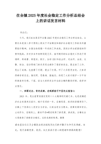 在全镇2025年度社会稳定工作分析总结会上的讲话发言材料