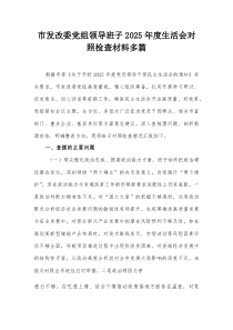 市发改委党组领导班子2025年度生活会对照检查材料多篇