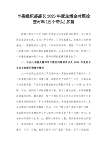 市委组织部部长2025年度生活会对照检查材料（五个带头）多篇