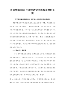 市局党组2025年度生活会对照检查材料多篇