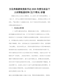 文化和旅游局党组书记2025年度生活会个人对照检查材料（五个带头）多篇