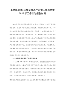 某党组2025年度全面从严治党工作总结暨2026年工作计划报告材料