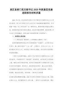 某区直部门党支部书记2025年抓基层党建述职报告材料多篇