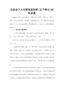 生活会个人对照检查材料（五个带头）材料多篇