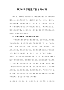 镇2025年党建工作总结材料