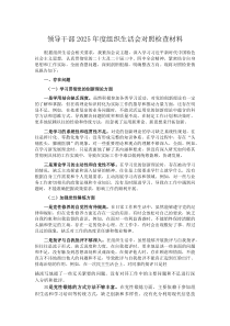 领导干部2025年度组织生活会对照检查材料