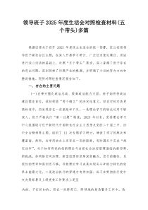 领导班子2025年度生活会对照检查材料(五个带头)多篇