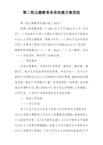 第二批主题教育具体实施方案党组 