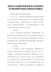 党组织书记抓基层党建突破项目优秀案例⑦市妇联党建带妇建深化两新组织妇联建设