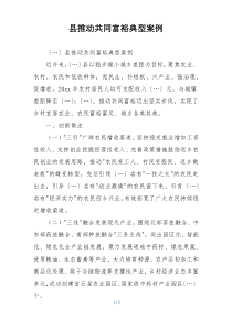 县推动共同富裕典型案例
