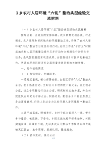 X乡农村人居环境“六乱”整治典型经验交流材料