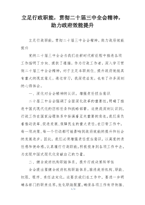 立足行政职能，贯彻二十届三中全会精神，助力政府效能提升
