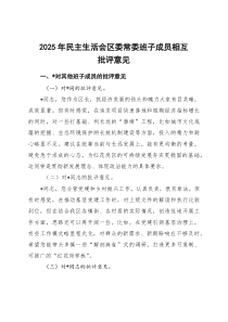 2025年民主生活会区委常委班子成员相互批评意见