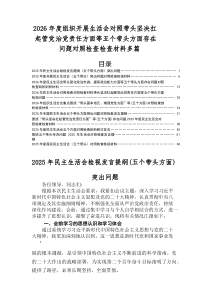2025年民主生活会带头干事创业、担当作为方面等（五个带头方面）检视问题个人检视对照检查材料
