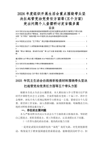 2025年民主生活会带头干事创业、担当作为方面等（五个方面）存在问题检视检查材料