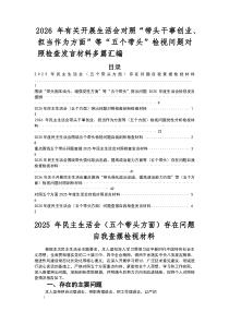 2025年民主生活会重点围绕（五个带头）突出问题对照检查研讨发言