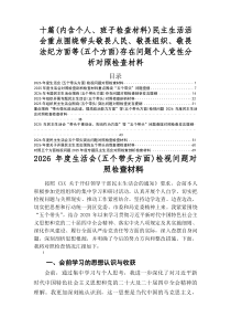 2026年度生活会围绕（五个带头方面）检视问题检视检查材料