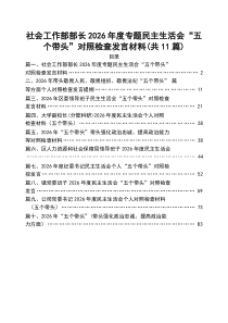 [11篇]社会工作部部长2026年度专题民主生活会“五个带头”对照检查发言材料范文