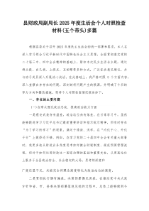 县财政局副局长2025年度生活会个人对照检查材料(五个带头)多篇