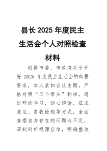 县长2025年度民主生活会个人对照检查材料