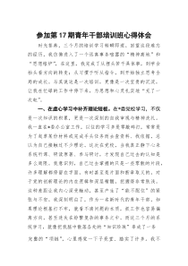 参加第17期青年干部培训班心得体会