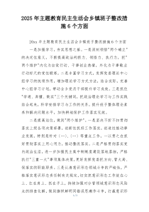 2025年主题教育民主生活会乡镇班子整改措施6个方面