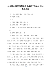 与会同志谈贯彻落实中央经济工作会议精神整理3篇