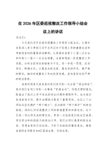 在2026年区委巡视整改工作领导小组会议上的讲话