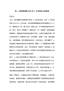 在XX区民政系统2025年党建工作会议上的讲话