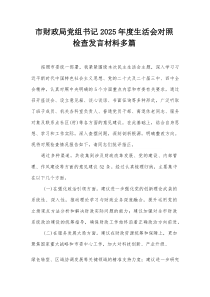 市财政局党组书记2025年度生活会对照检查发言材料多篇